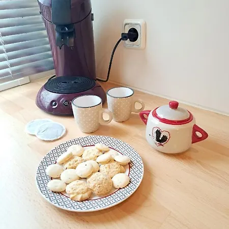 La Fleur Des Champs Proche Europa Park * Boofzheim